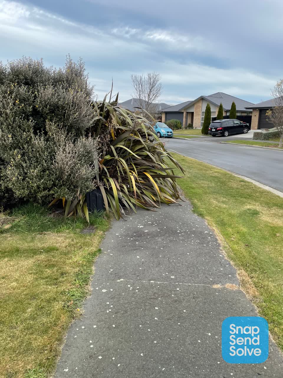 The photograph attached to this parks report