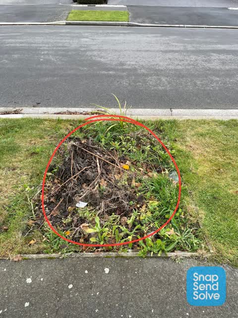 Parks, a report photo