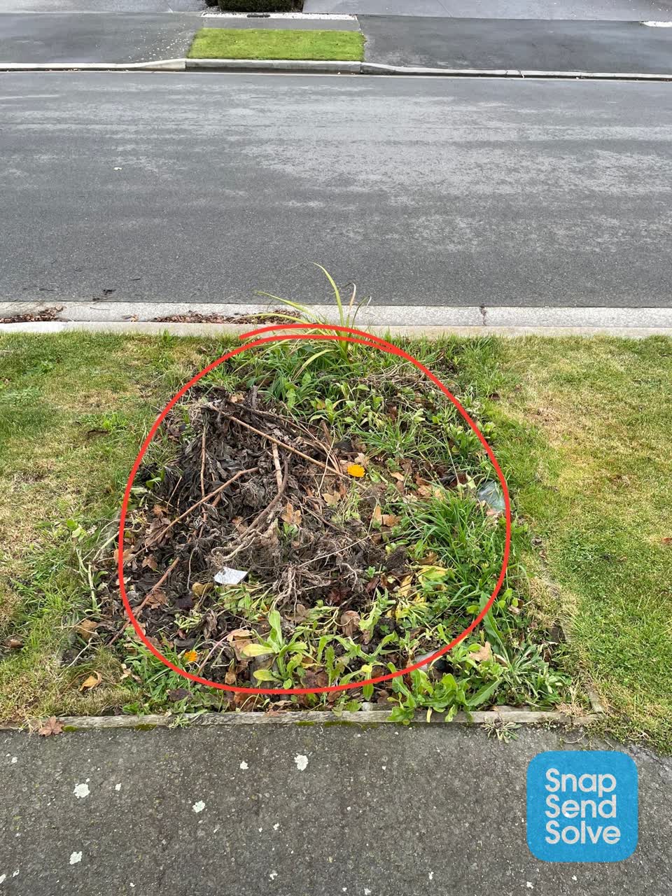 The photograph attached to this parks report
