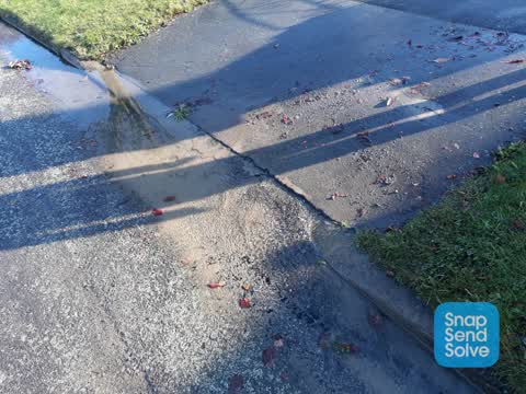 Flooding, a report photo