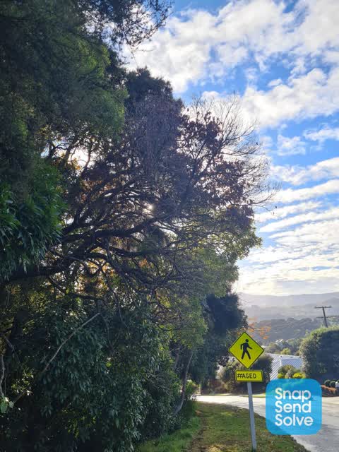 Parks, a report photo