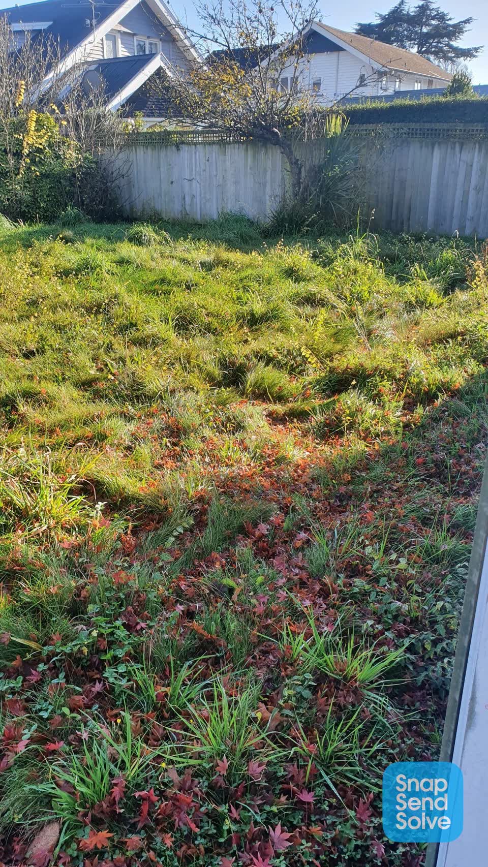 The photograph attached to this parks report