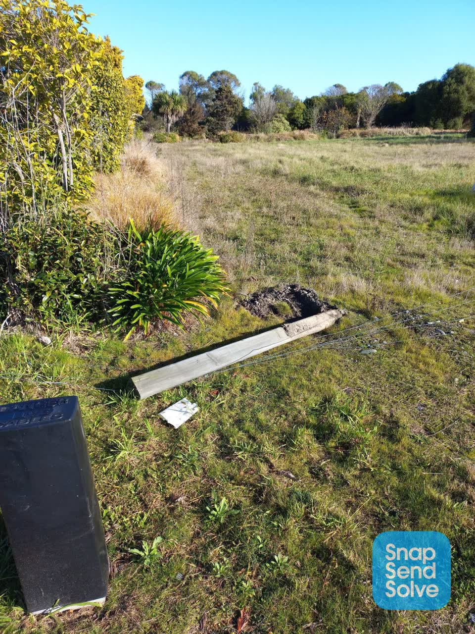 The photograph attached to this parks report