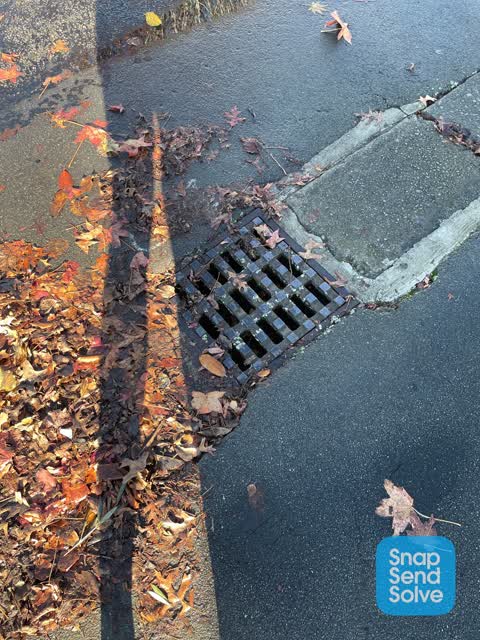 Flooding, a report photo