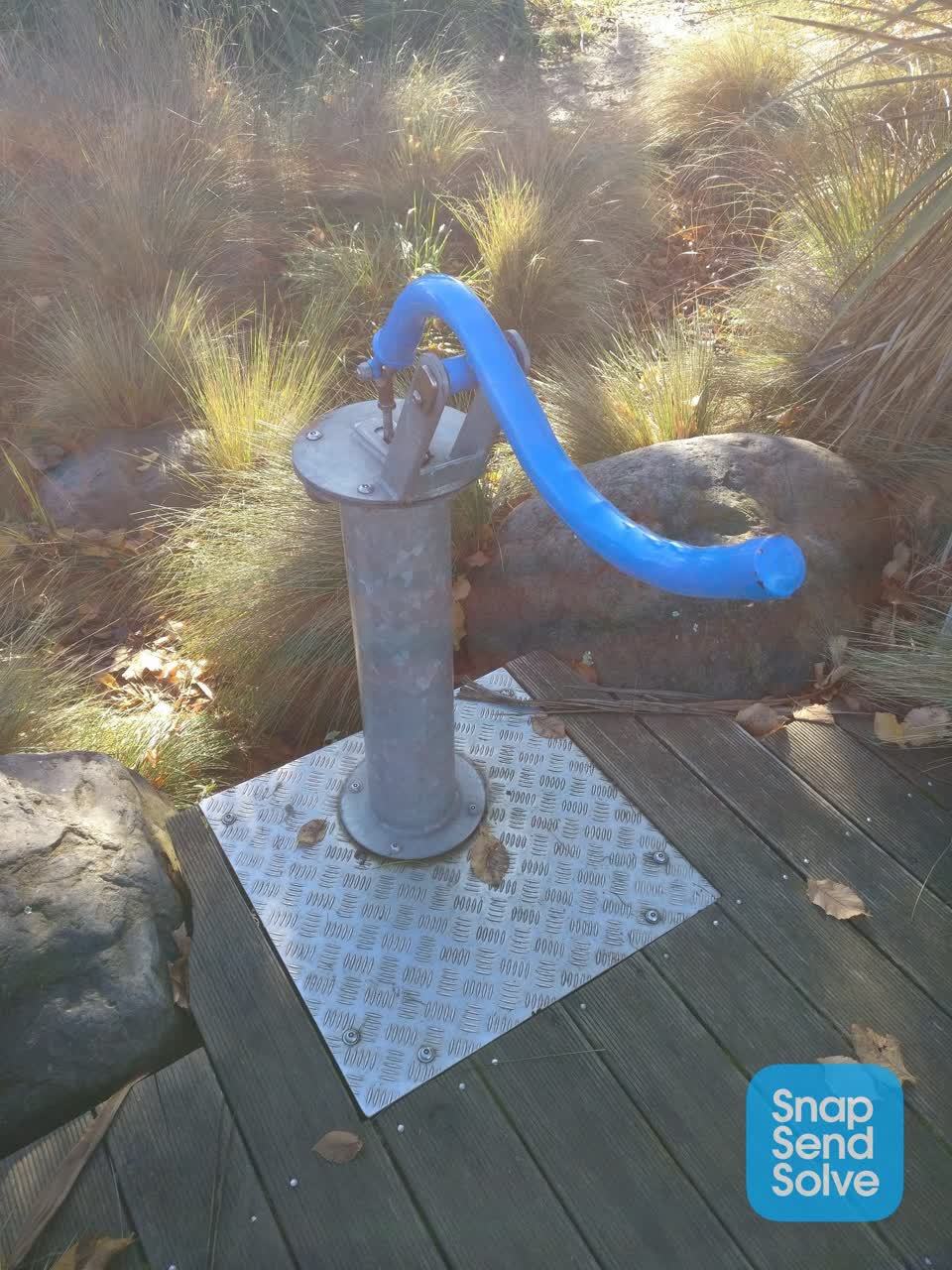 The photograph attached to this parks report