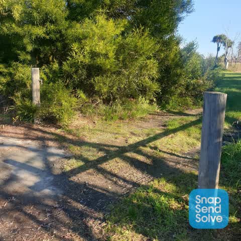 Roading/Streets, a report photo