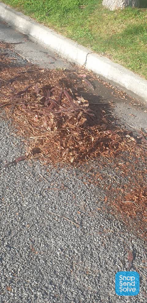 Wastewater/Stormwater, a report photo