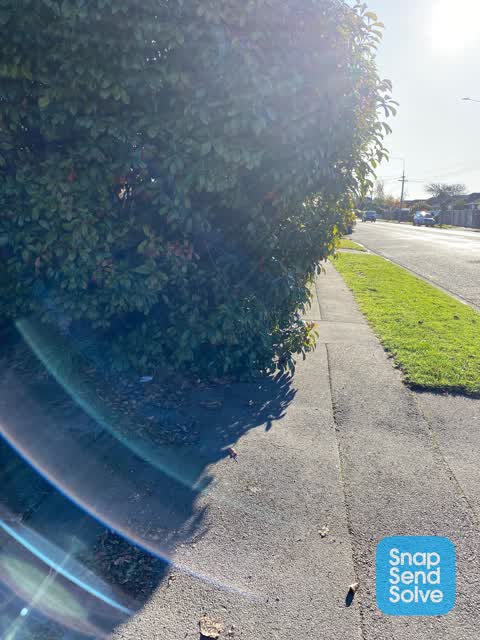 Roading/Streets, a report photo