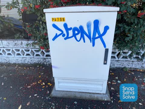 Graffiti, a report photo