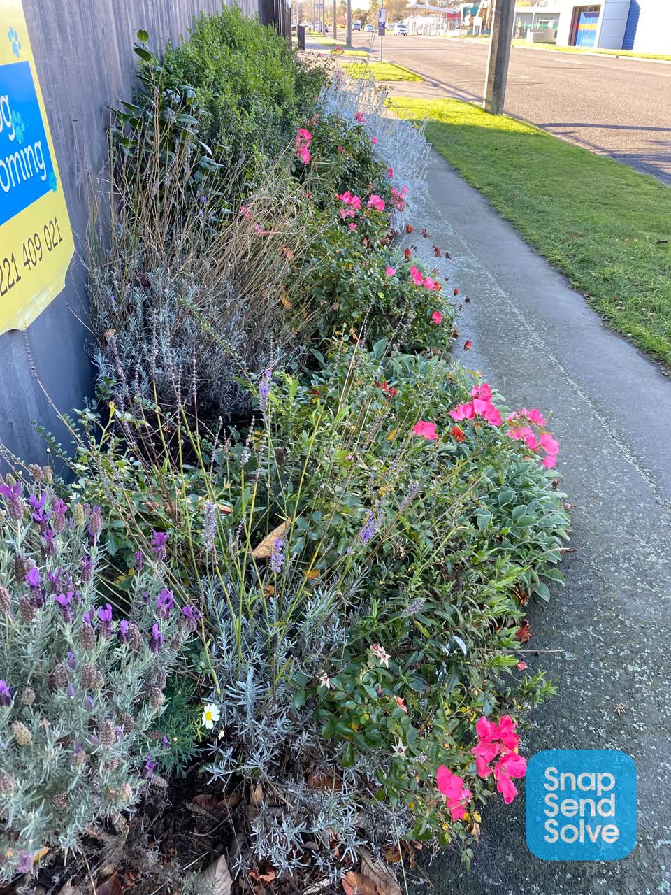 The photograph attached to this parks report