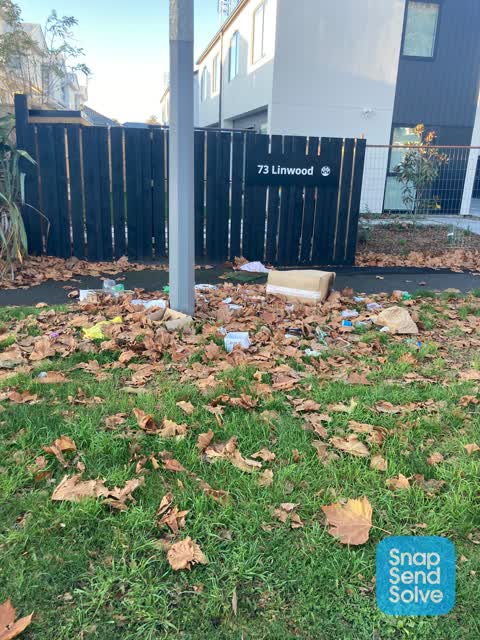 Rubbish/Recycling, a report photo
