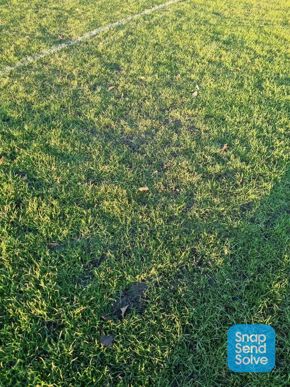 The photograph attached to this parks report