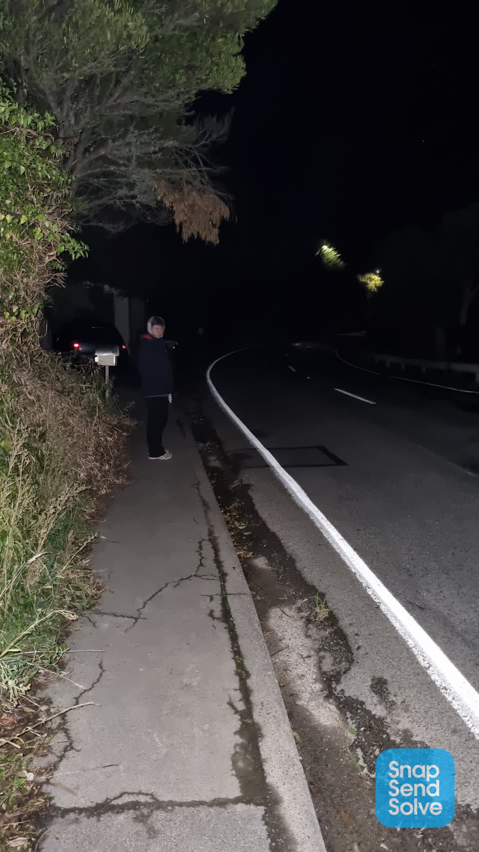 The photograph attached to this street light outage report