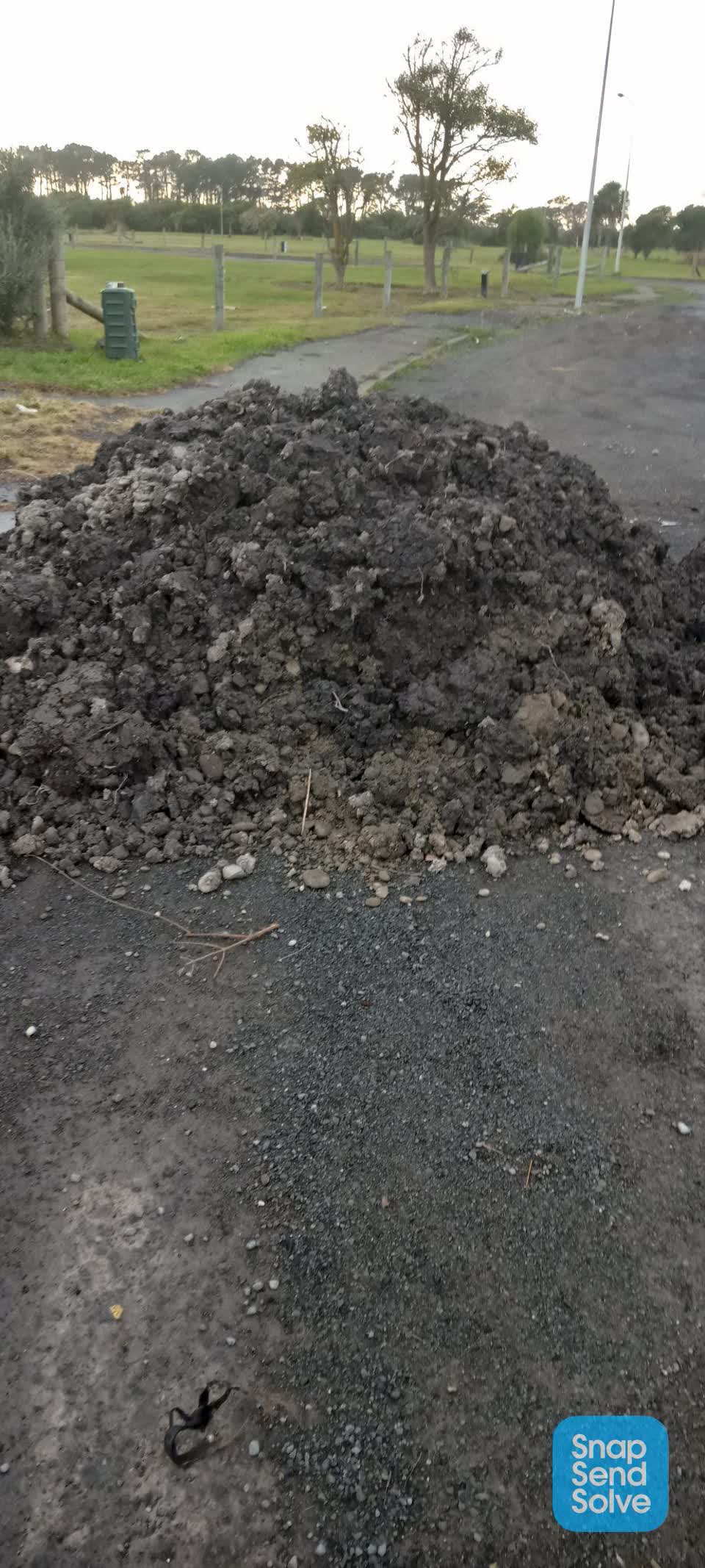 The photograph attached to this roading/streets report