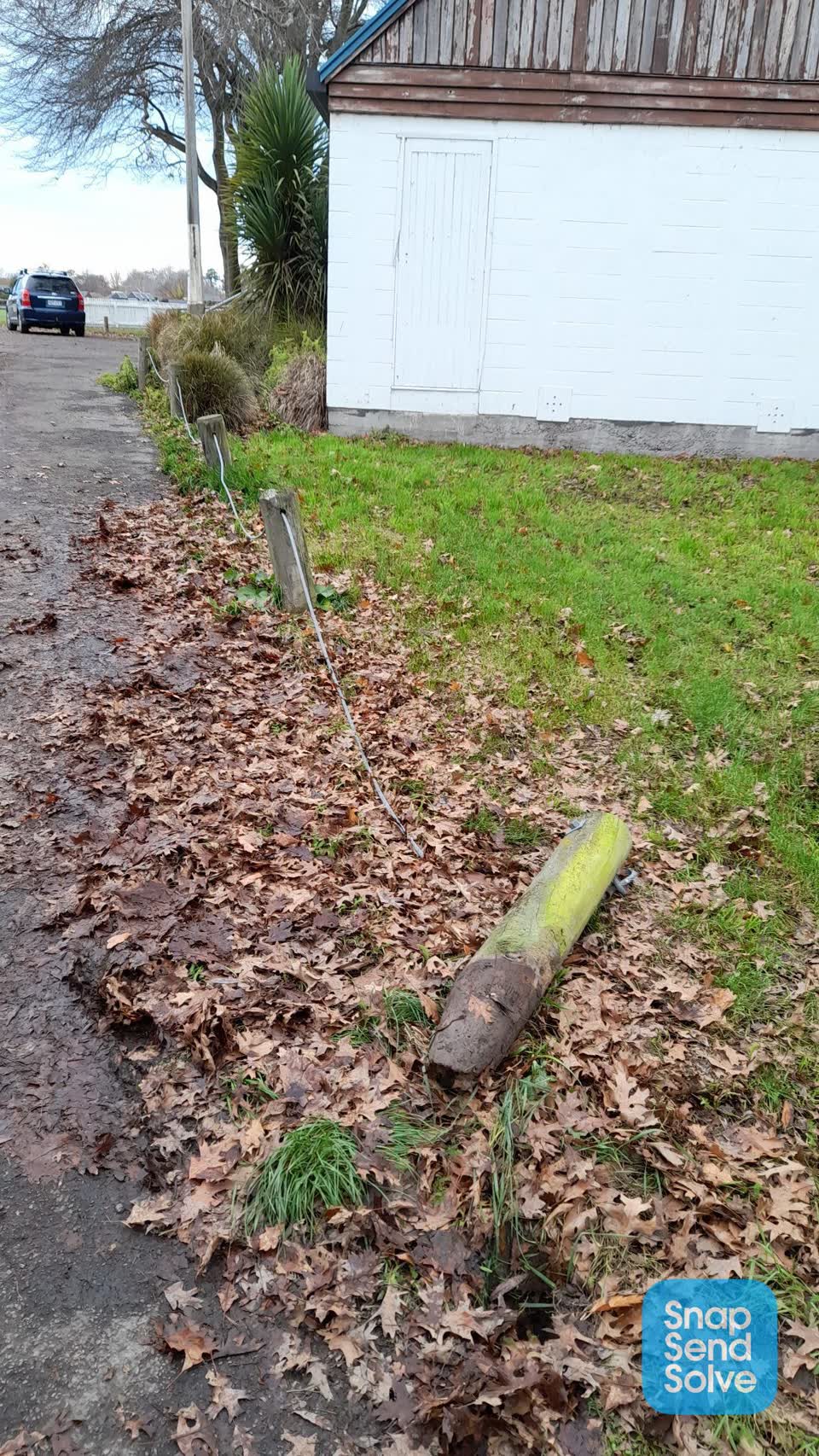 The photograph attached to this parks report