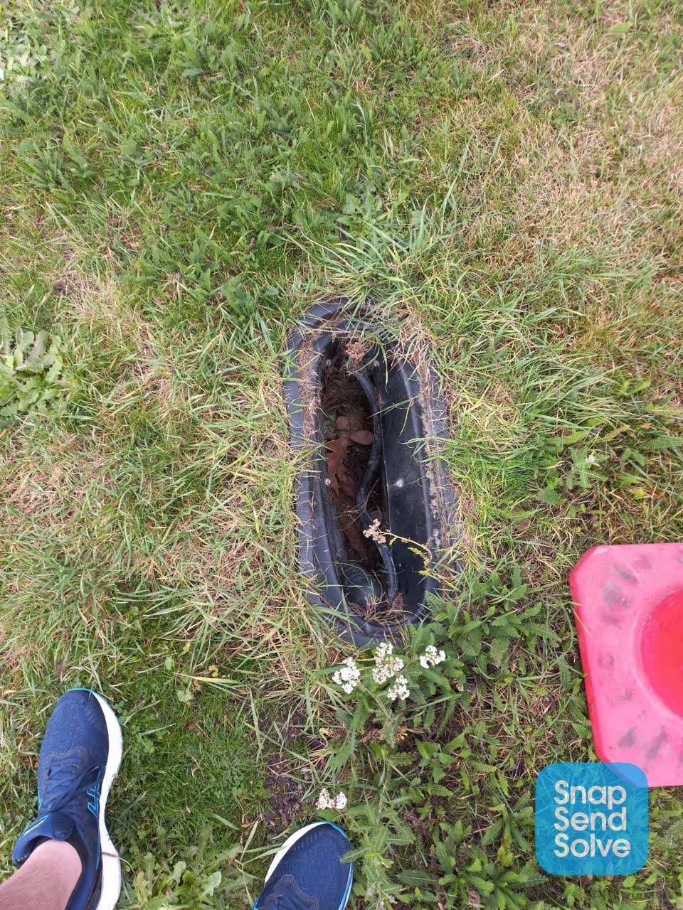 The photograph attached to this parks report