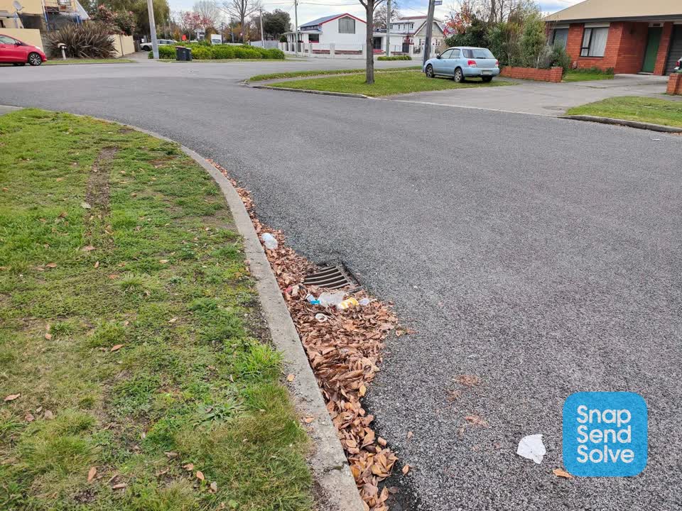 The photograph attached to this roading/streets report