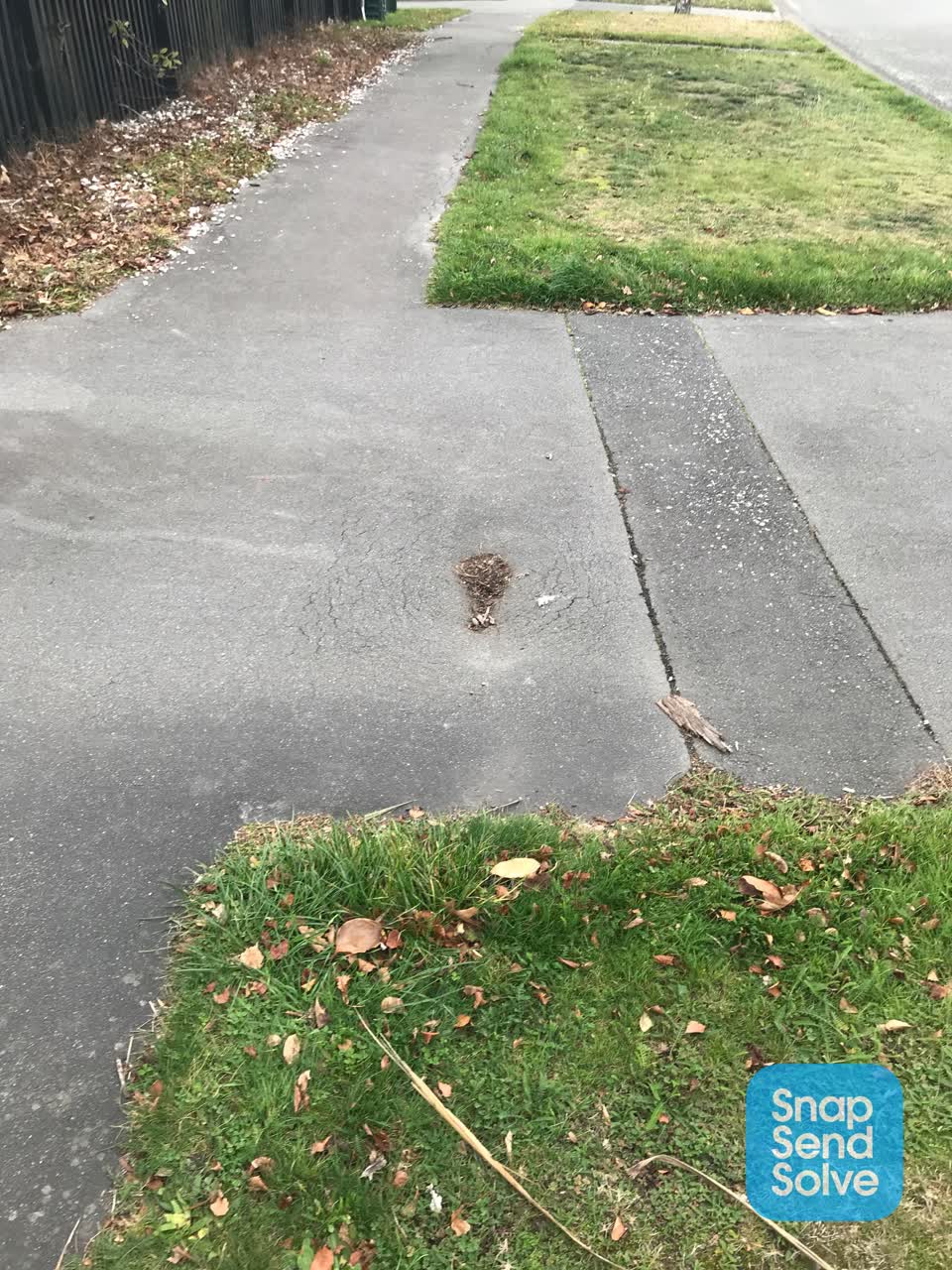The photograph attached to this roading/streets report