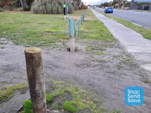 Parks, a report photo