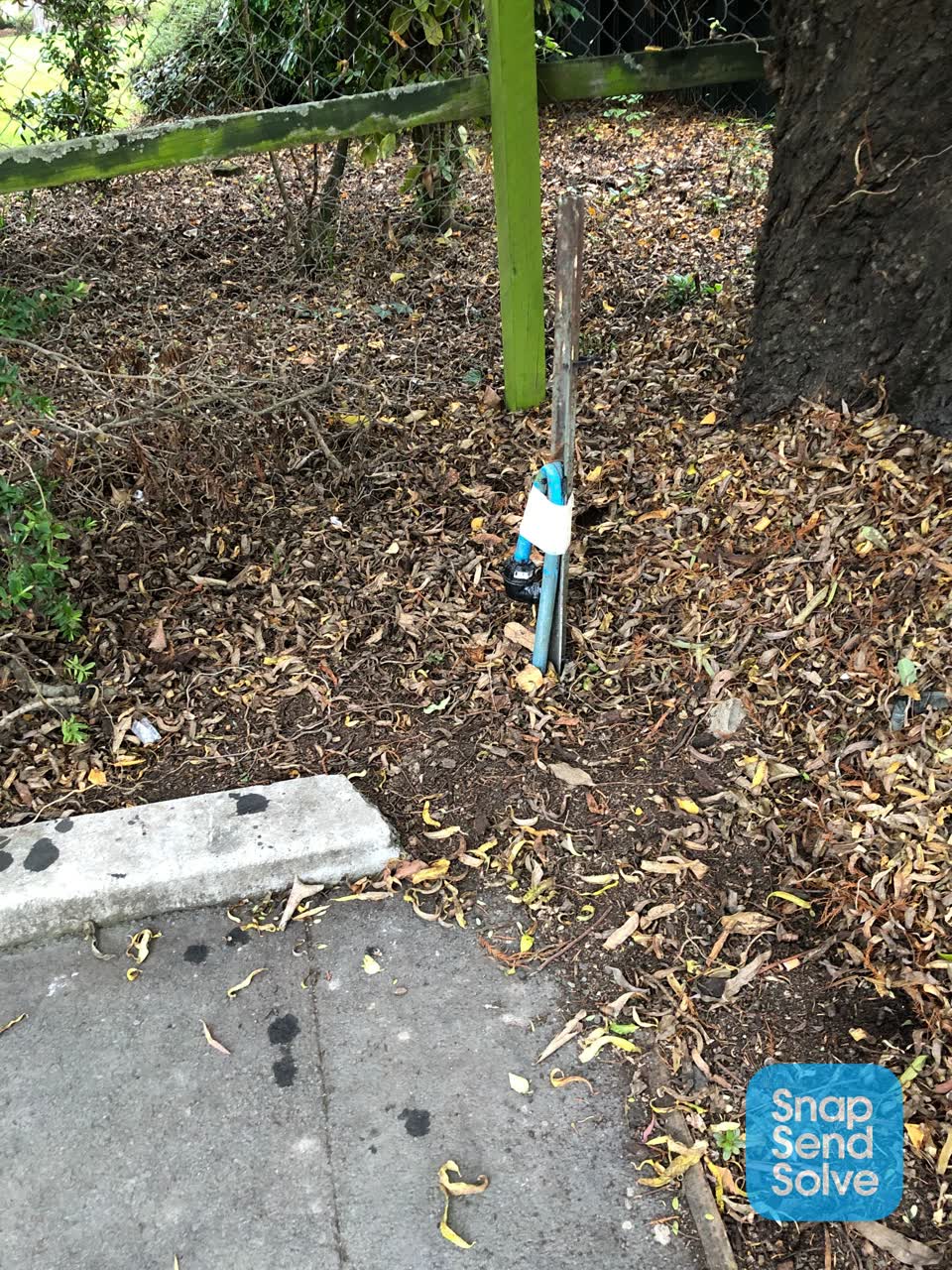 The photograph attached to this parks report