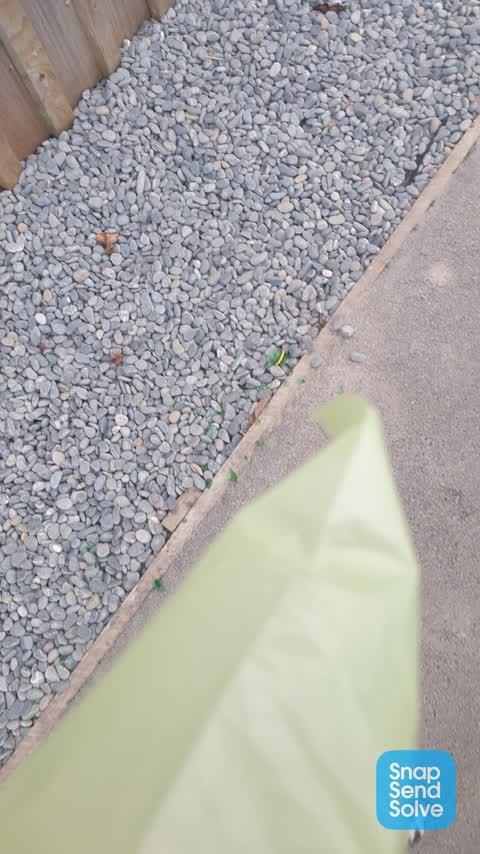 Rubbish/Recycling, a report photo