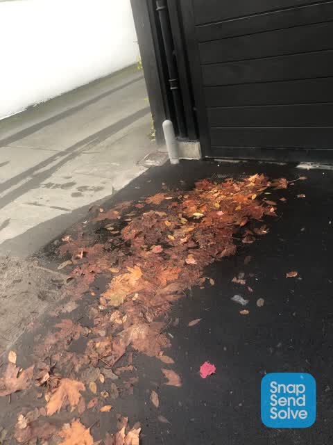 Water Leak, a report photo