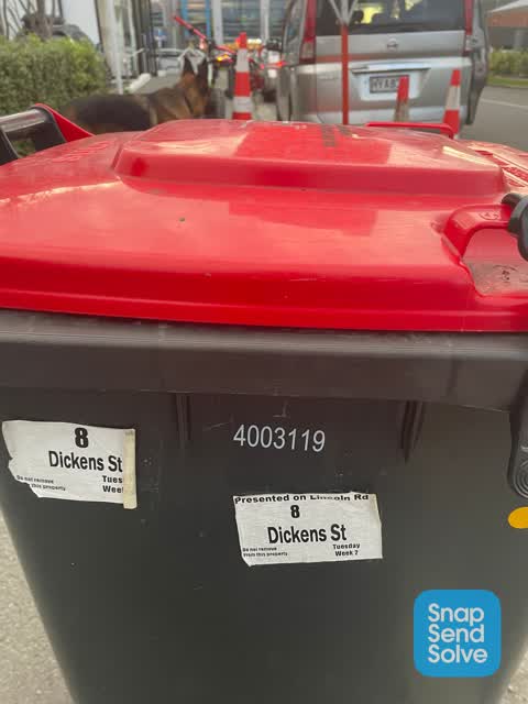 Rubbish/Recycling, a report photo