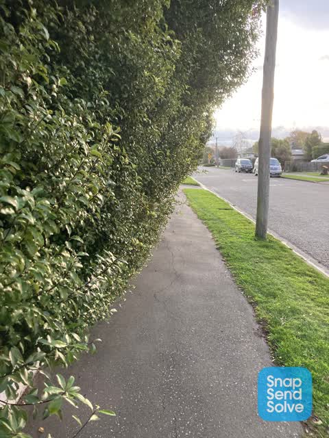 Roading/Streets, a report photo