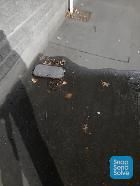 Water Leak, a report photo