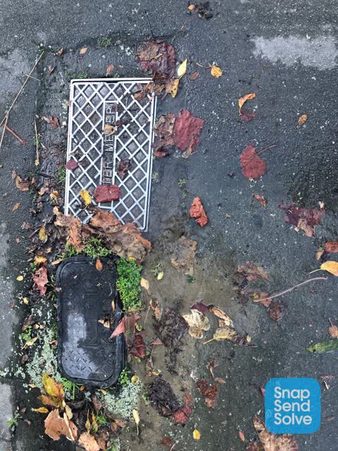 Water Leak, a report photo