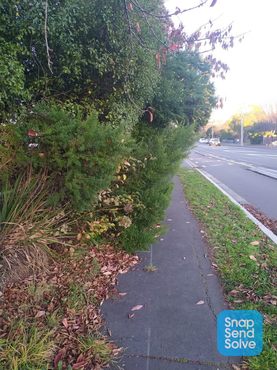 The photograph attached to this roading/streets report