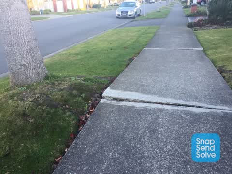 Roading/Streets, a report photo