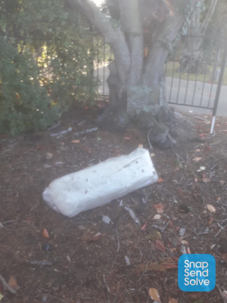 The photograph attached to this rubbish/recycling report