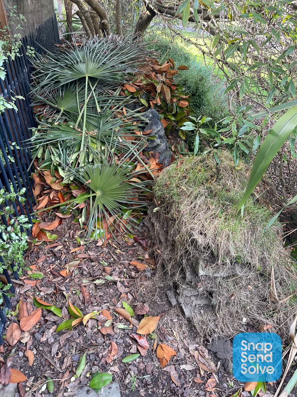 The photograph attached to this parks report