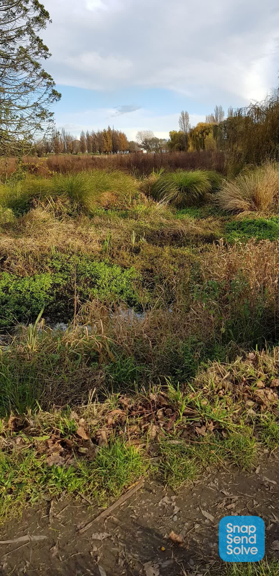 The photograph attached to this parks report