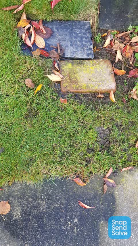 Water Leak, a report photo
