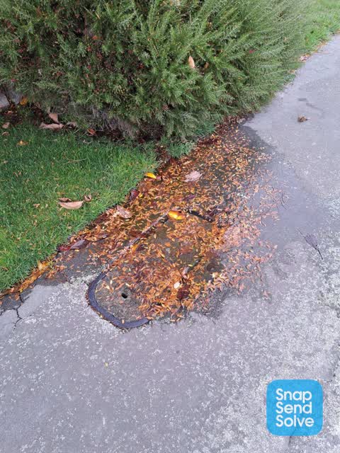 Water Leak, a report photo