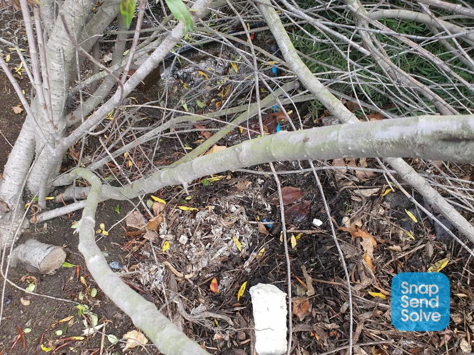 The photograph attached to this water leak report