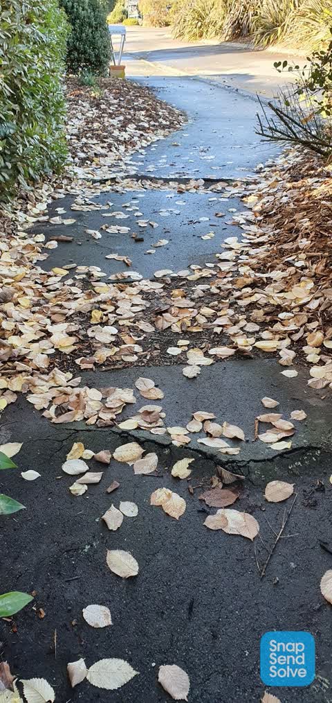 Roading/Streets, a report photo