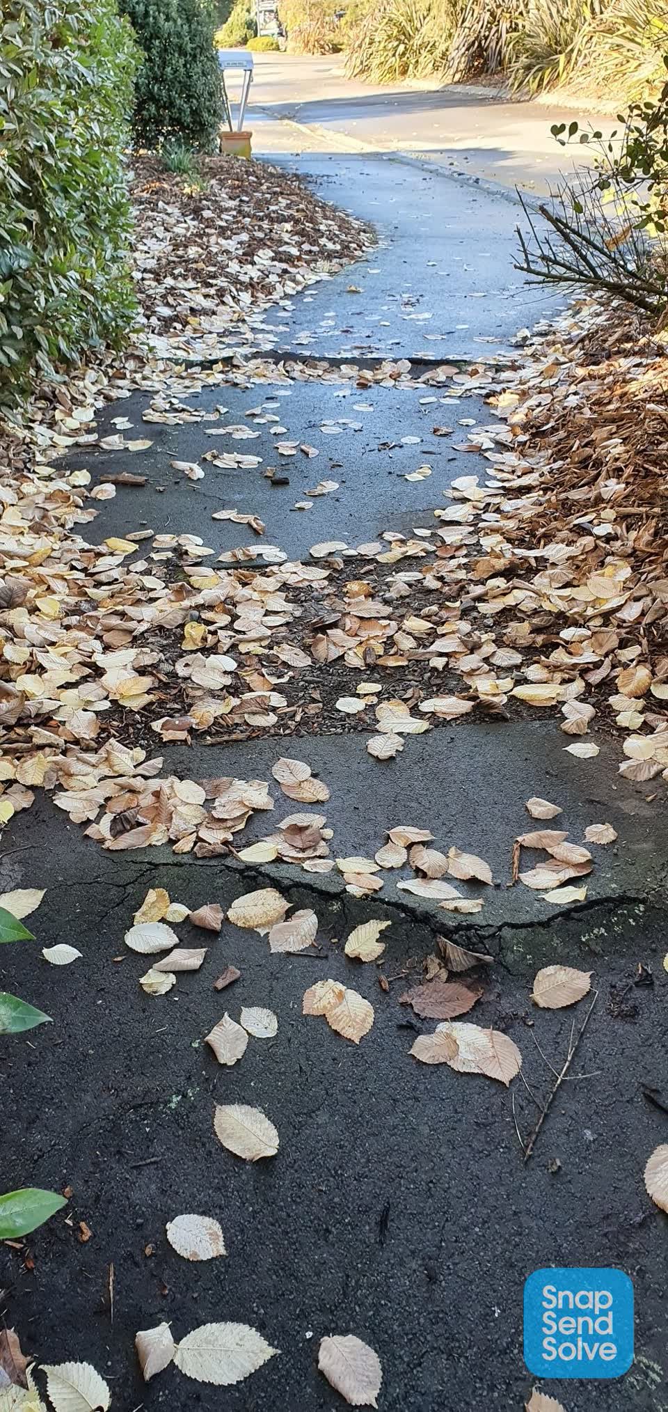 The photograph attached to this roading/streets report
