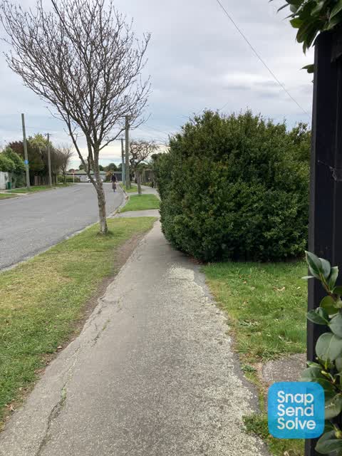 Roading/Streets, a report photo