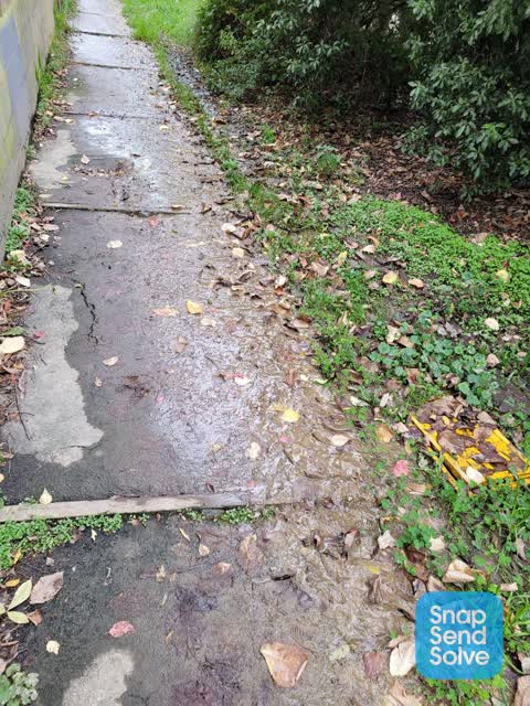 Water Leak, a report photo