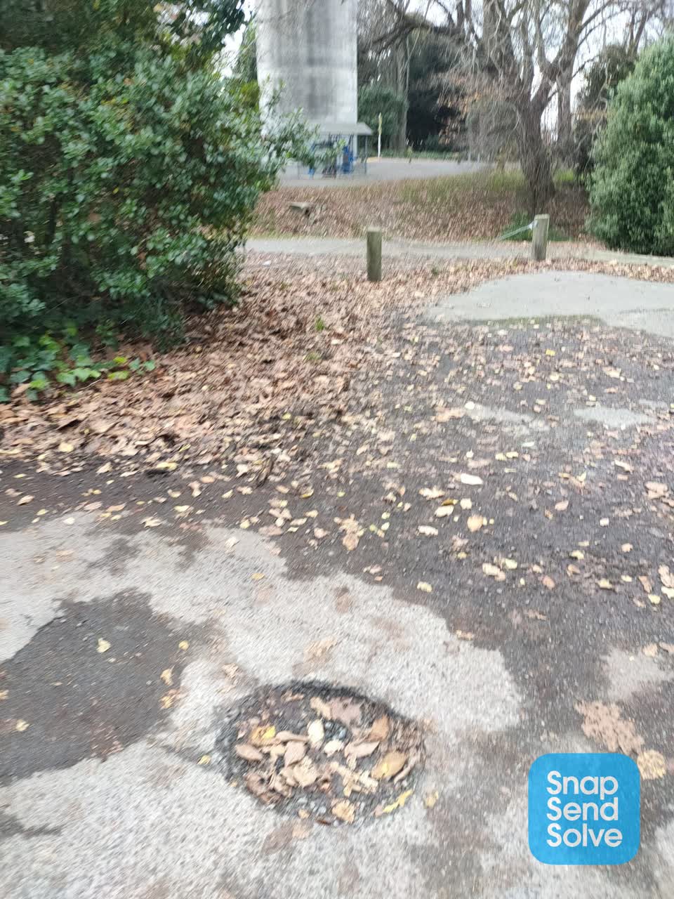 The photograph attached to this parks report