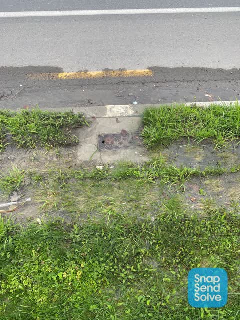 Water Leak, a report photo