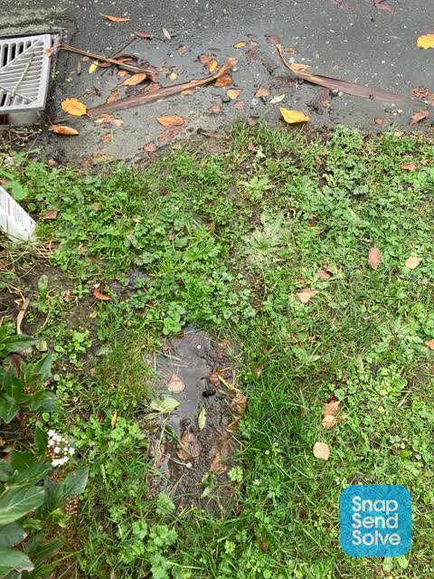 Water Leak, a report photo