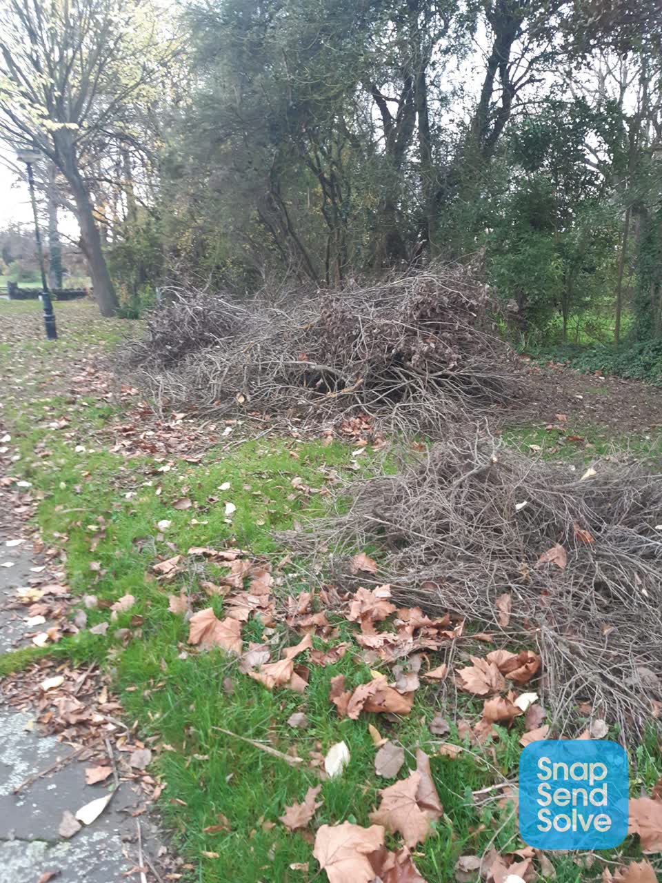 The photograph attached to this parks report