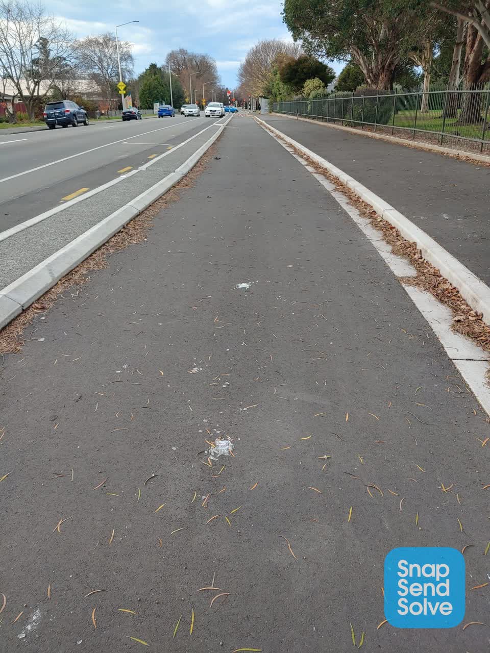The photograph attached to this roading/streets report