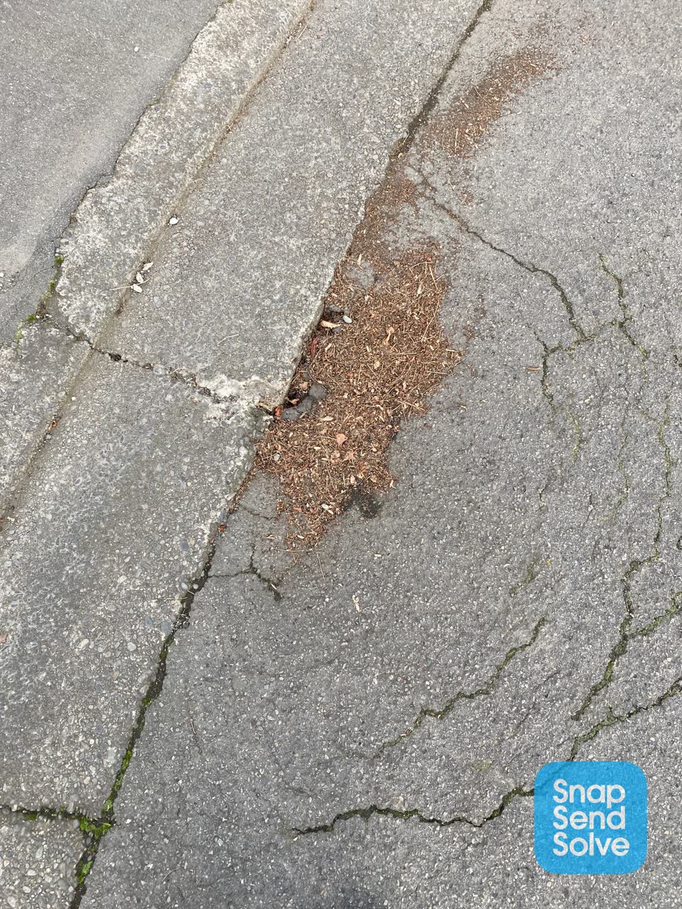 The photograph attached to this roading/streets report