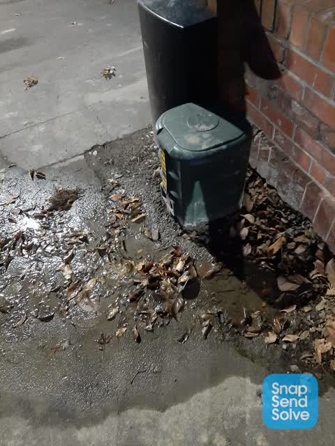 Water Leak, a report photo