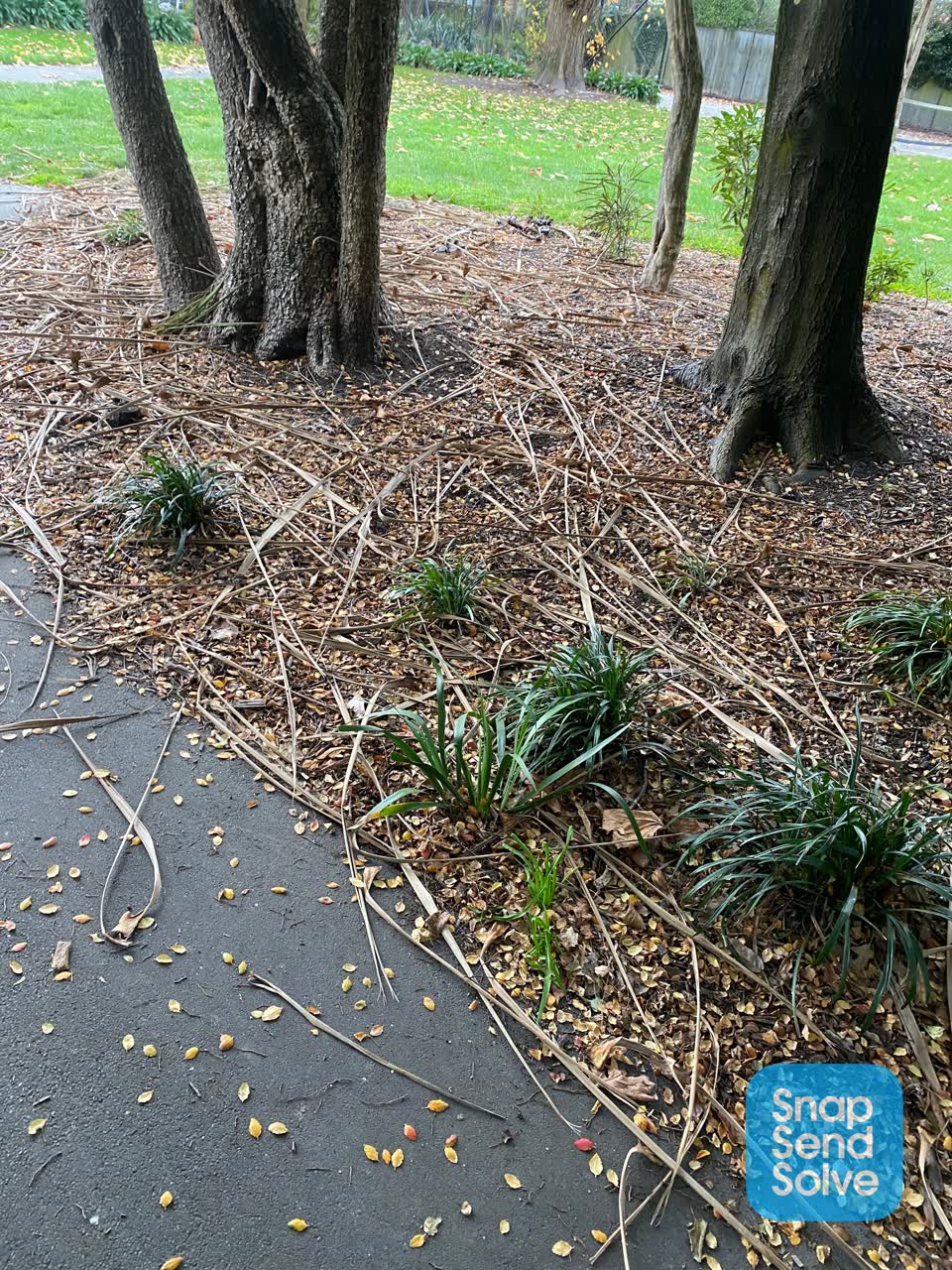 The photograph attached to this parks report